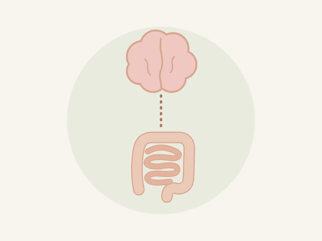Ilustração do eixo cérebro-intestino ligando ansiedade e digestão