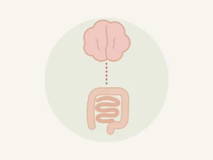Ilustração do eixo cérebro-intestino ligando ansiedade e digestão