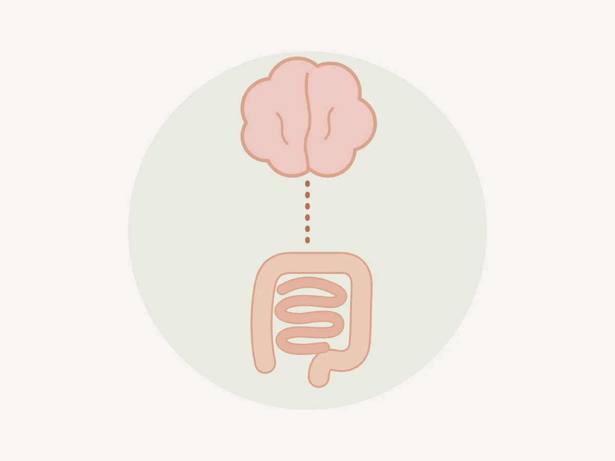 Ilustração do eixo cérebro-intestino ligando ansiedade e digestão
