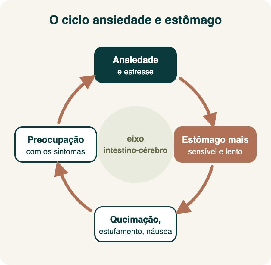 Infográfico do ciclo ansiedade e estômago: ansiedade e estresse deixam o estômago mais sensível e lento, isso causa queimação, estufamento e náusea, que geram preocupação e mais ansiedade