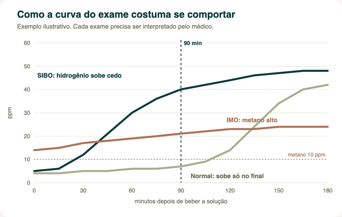 Gráfico ilustrativo da curva do teste respiratório de hidrogênio e metano mostrando o padrão normal, o de SIBO e o de IMO