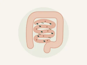 Ilustração do intestino com diferentes bactérias representando disbiose intestinal