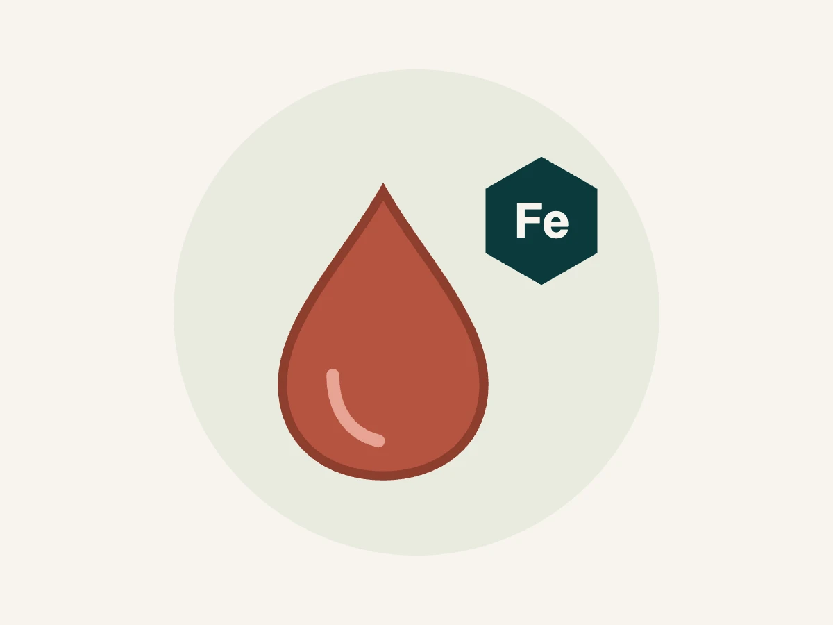 Ilustração de gota de sangue e ferro representando ferritina elevada