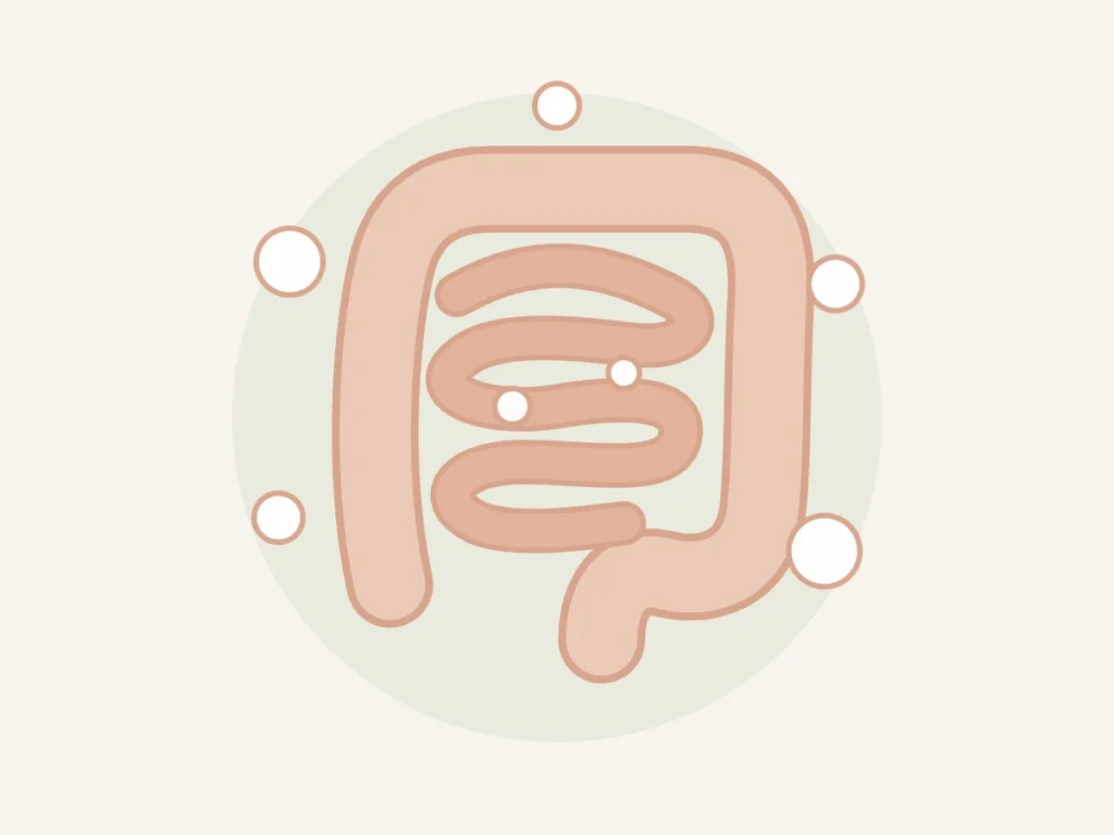 Ilustração do intestino com bolhas de gás