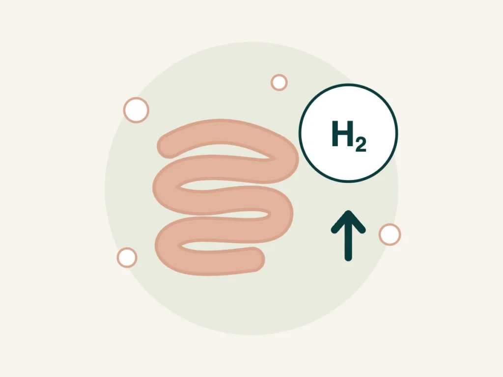 Hidrogênio alto no teste respiratório: é SIBO?