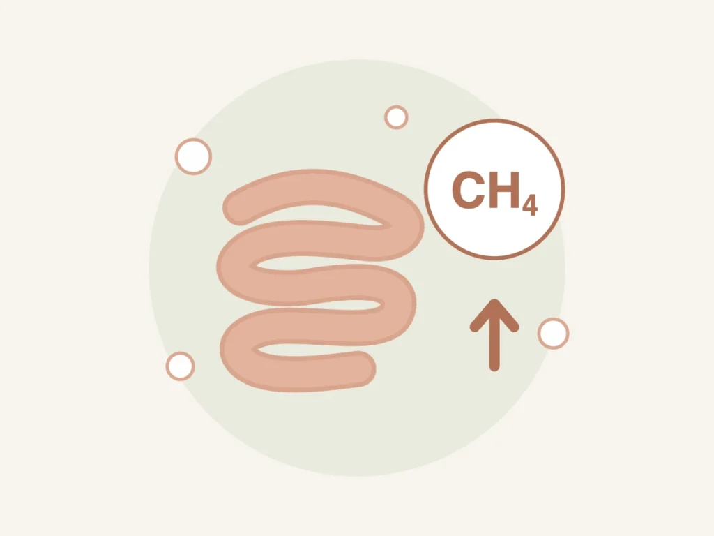 Metano alto no teste respiratório: o que significa?