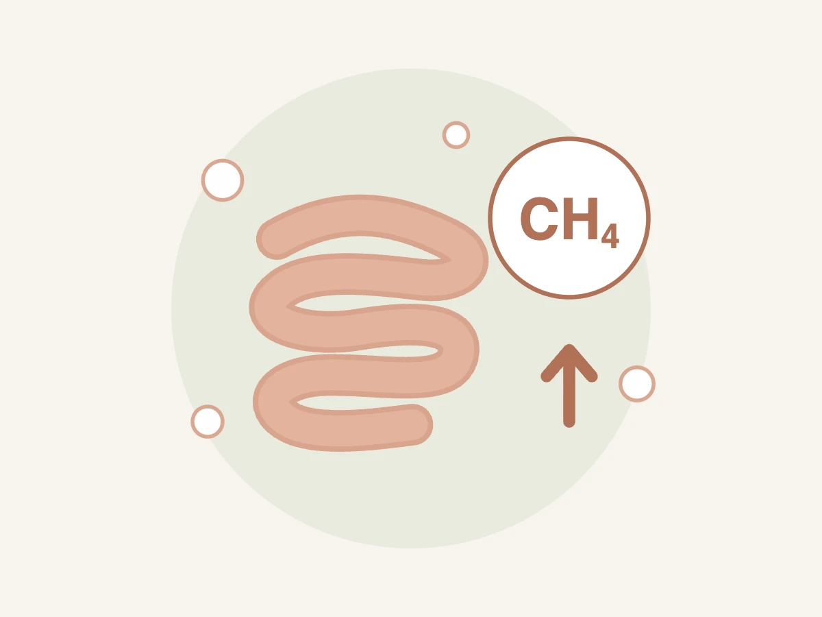 Ilustração do intestino com molécula de metano em destaque e seta para cima representando metano alto no teste respiratório