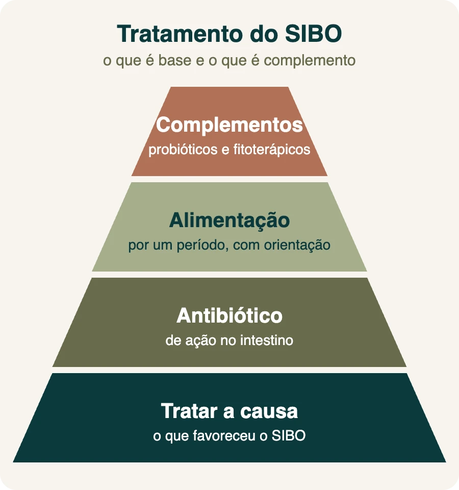 Pirâmide do tratamento do SIBO: na base tratar a causa, depois antibiótico de ação no intestino, alimentação por um período e, no topo, complementos como probióticos e fitoterápicos