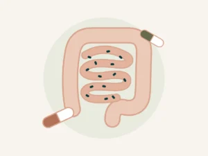 Ilustração do intestino com bactérias e cápsulas de probiótico representando SIBO e suplementos