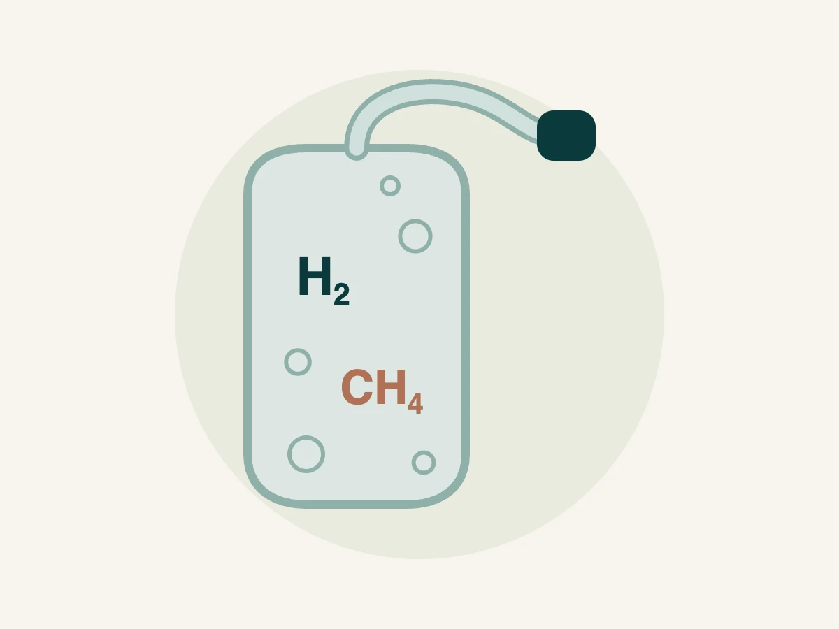 Ilustração de bolsa de coleta do teste respiratório de hidrogênio e metano